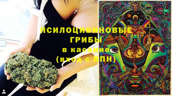 трава Арсеньев