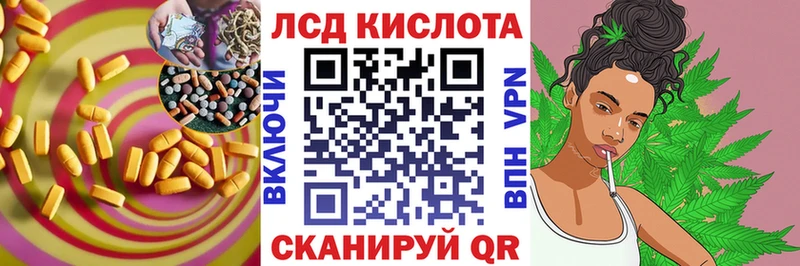 Купить  Бородино  LSD-25 экстази ecstasy 