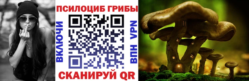 Купить где  Бородино  Псилоцибиновые грибы Psilocybine cubensis 